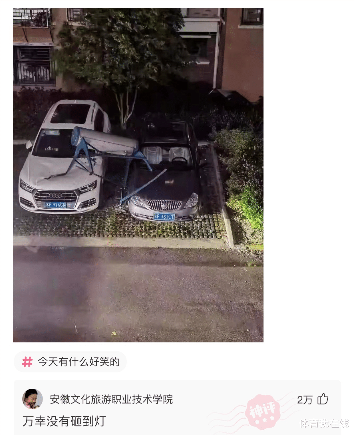 神回复 神回复：在纸发明之前，人们是用什么擦屁股的？