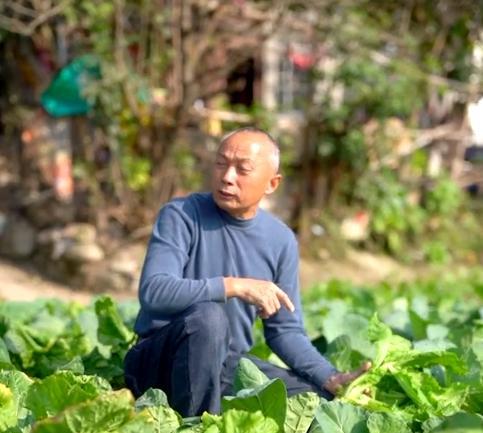 网红“严素”穿短裙挖菜,弯腰下蹲无视镜头,父亲提醒反被怼
