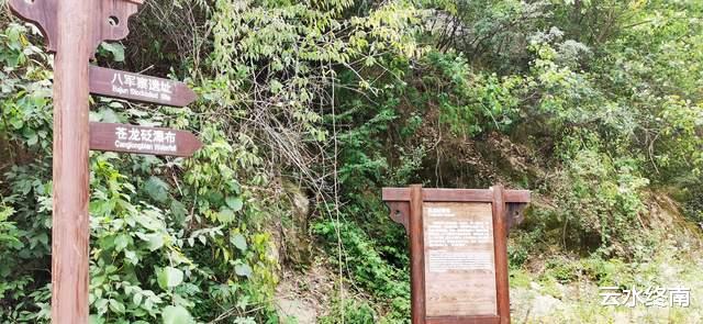 玄奘大师|不说南京玄奘寺了，还是看看秦岭里的玄奘大师埋骨之地的山水吧