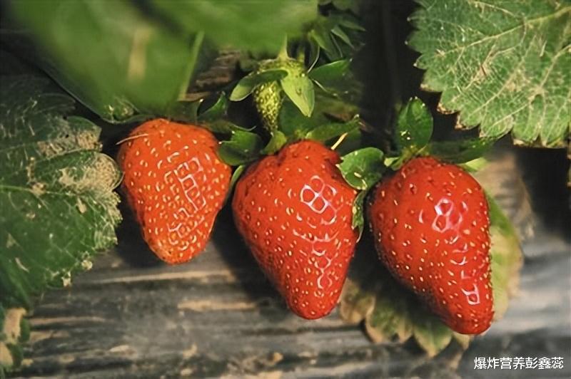 运动|连续5年被评为“最脏水果”的草莓，正是应季水果？怎么吃才健康