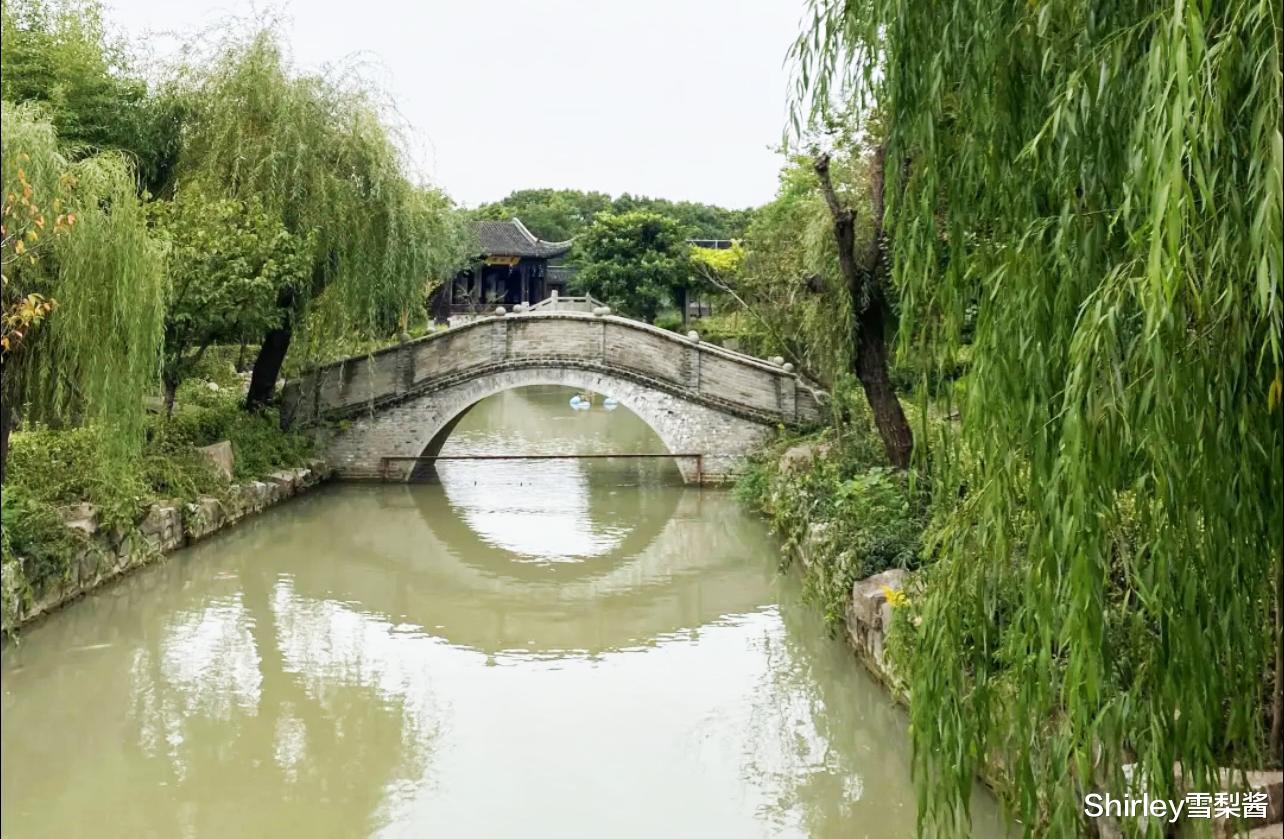 古镇|上海少见的良心寺庙，门票斋饭停车均免费，庭院禅意十足却鲜为人知