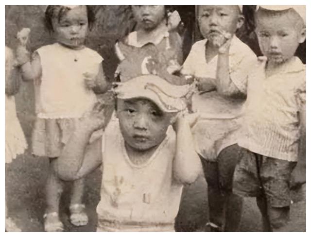 长城汽车|22年后，再看撒贝宁张绍刚，一个成央视招牌，一个被流放网络节目