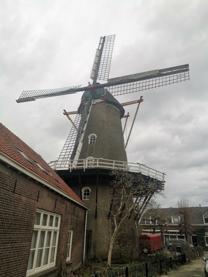 阿姆斯特丹|荷兰日记！阿姆斯特丹
