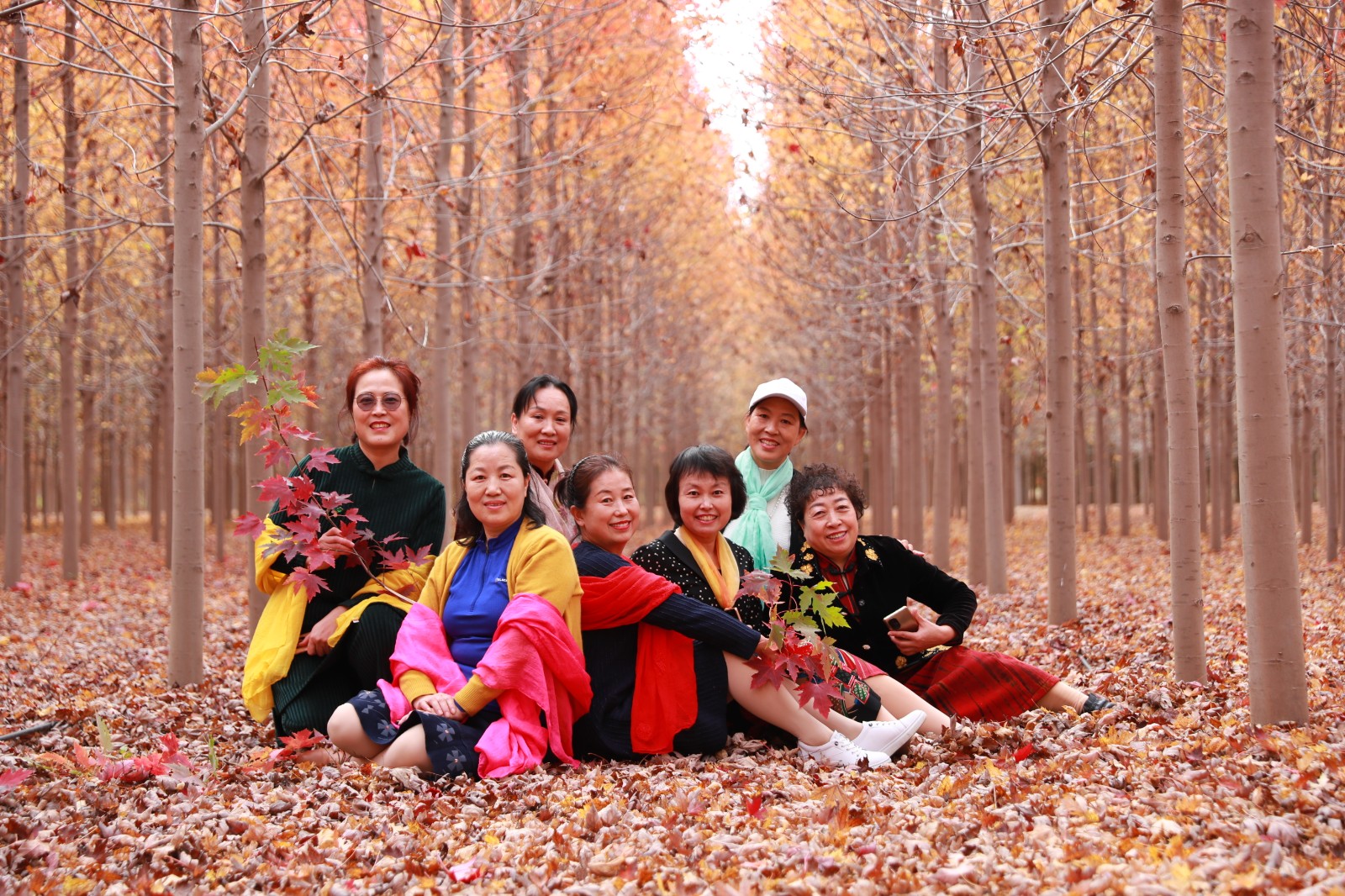 |夏格庄镇千亩红枫林等您赴约