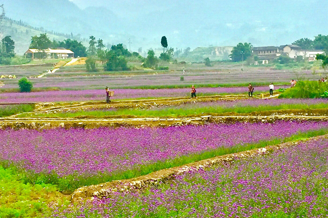 天秤座|这些星座虽然表面上看上去很温吞,但内心里也