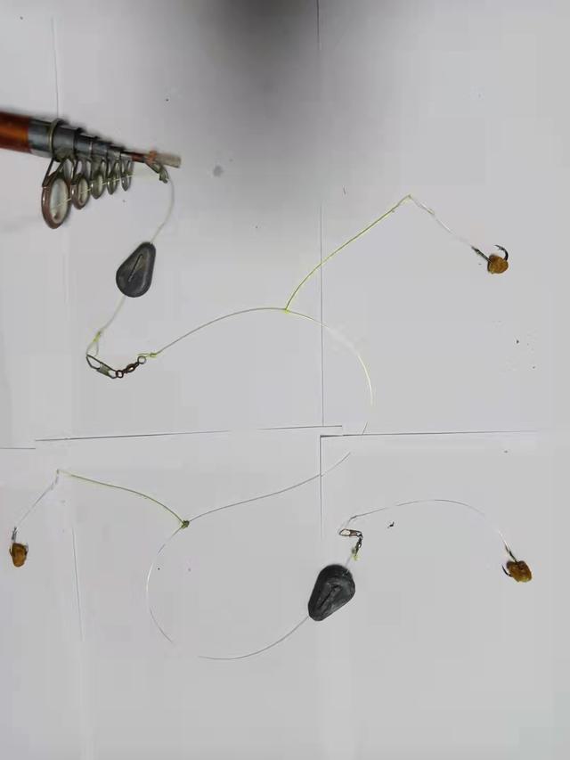 鲤鱼|干货|钓具钓组的配备及垂钓时间的选择