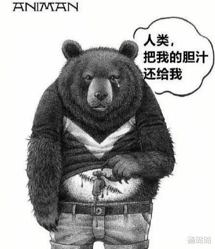 如果动物会说话,北极熊却只想要冰,而其他动物的话让大家沉默了