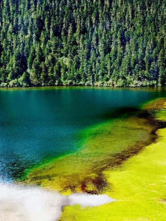 川西|1次秋日川西,相当于走遍半个中国