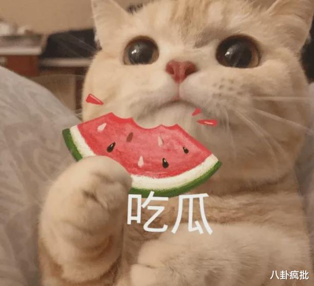 张铁林|他的字能值1688？吃相太丑！