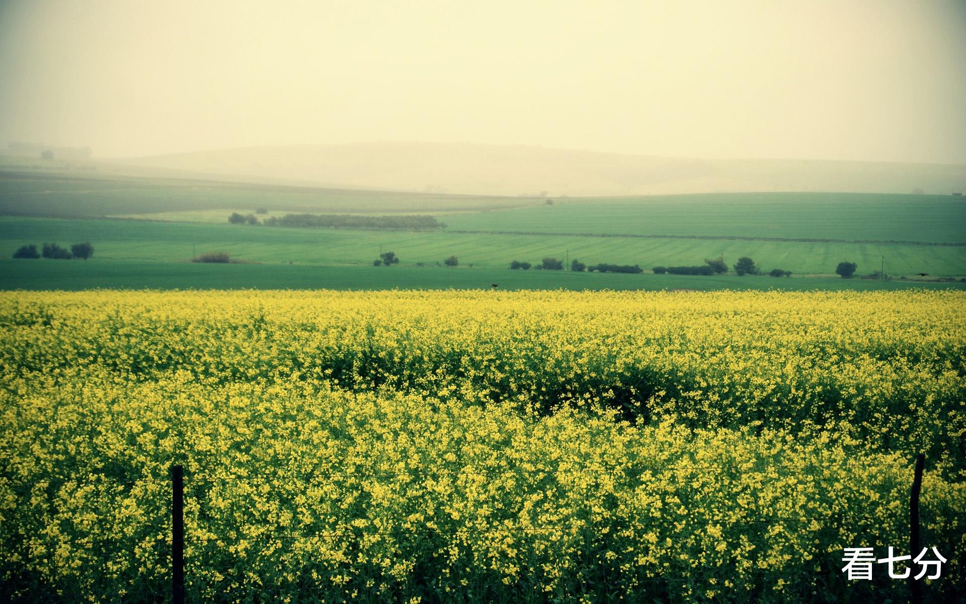 保利|因为未来是无法被预想到的,过好当下才是有意义的人生