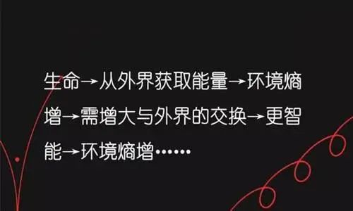熵增定律是什么