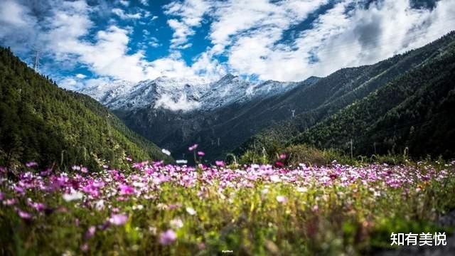旅游业|太美了！6月最佳旅行目的地清单，这10个地方的夏天美如仙境！