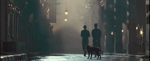 叶问|十年之后,他仍是国产巅峰