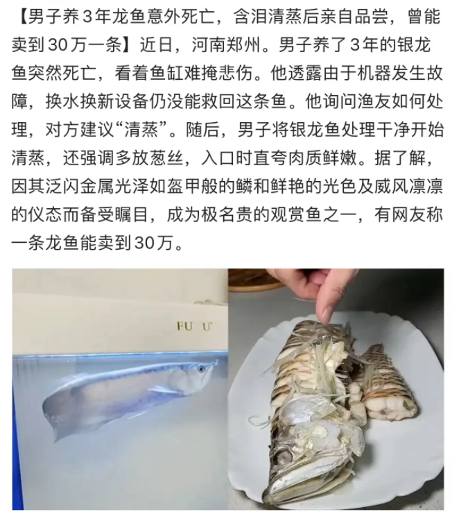 近日，河南郑州，男子含泪吃掉一条价值300000元的鱼！