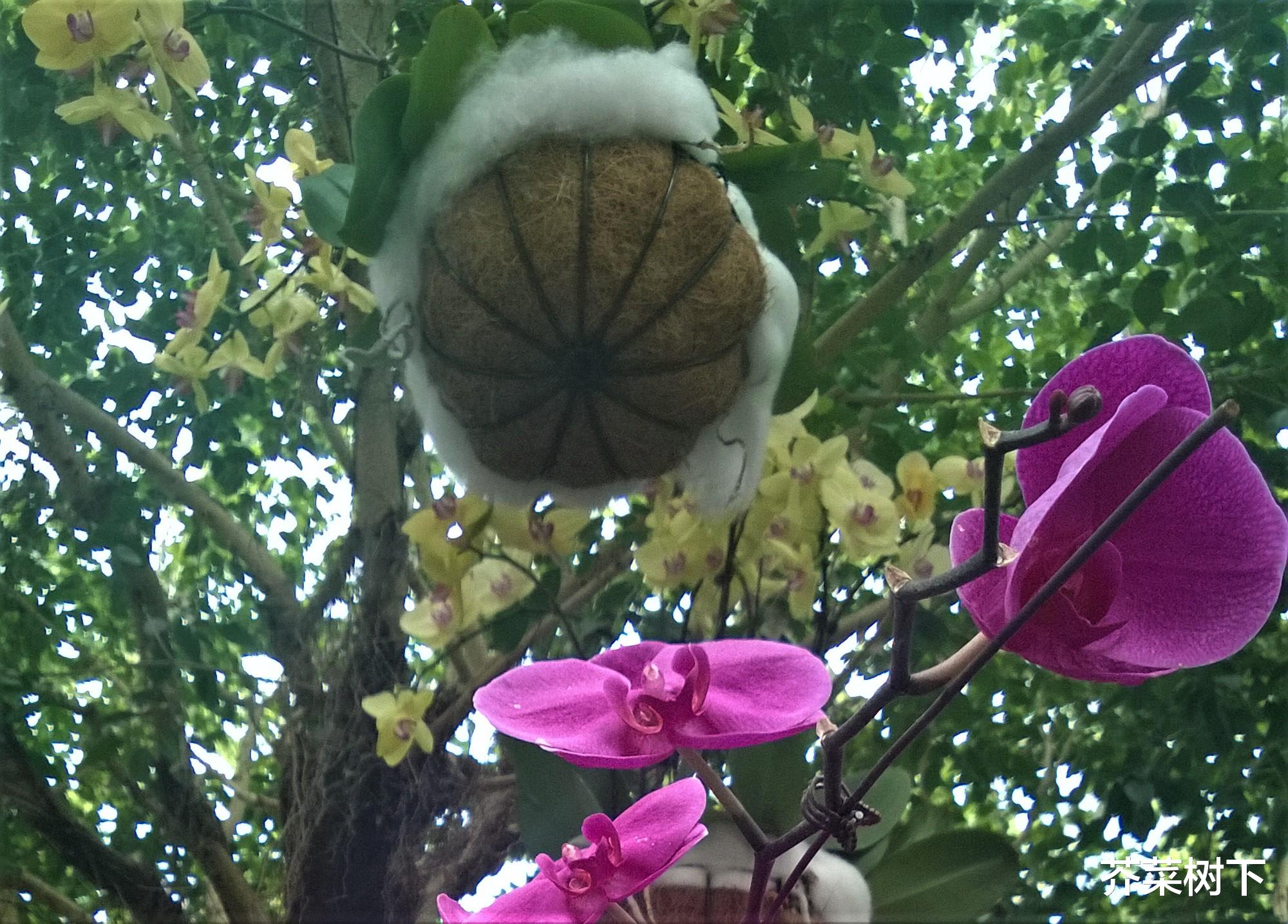 |职场忙乱:找到了原因,还是解决不了问题?