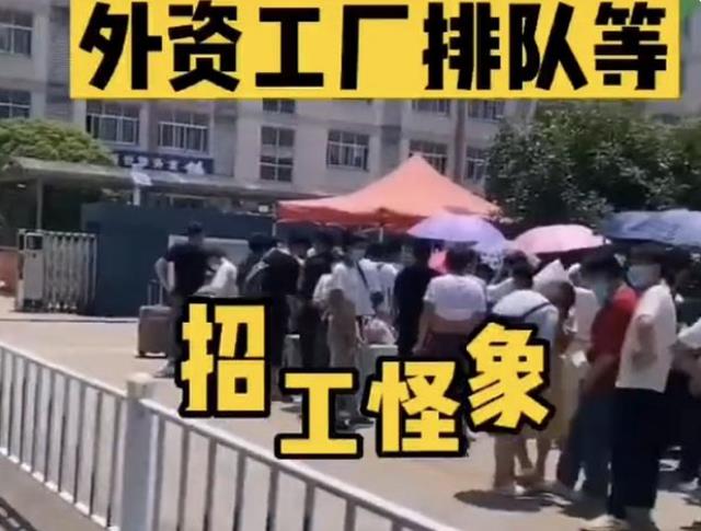 大学生|本地企业涨薪也招不满人，反观外企排长队，差距为啥这样大？