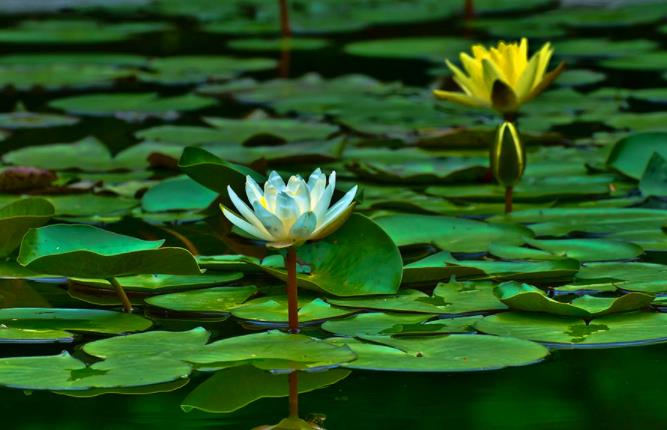 退休|人老了才发现,人生的下坡路,需要反着走