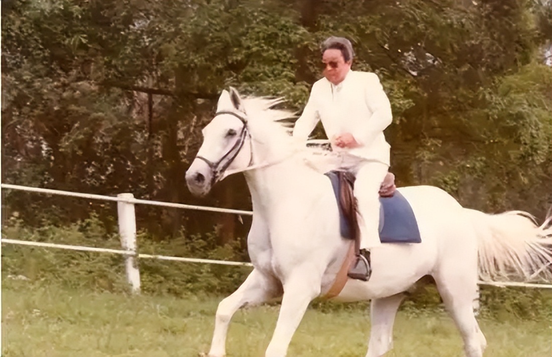 电影|痛惜！香港14位叔辈大腕，个个演技超群，其中13位已经离世