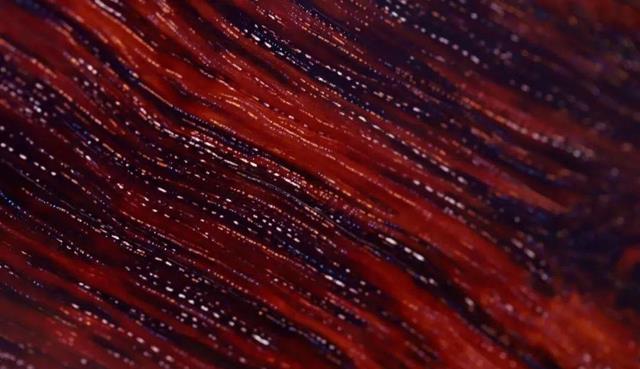 |关于金星小叶紫檀,你不知道的那些事!