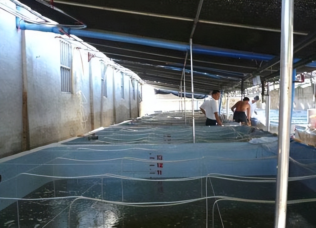 广东男子花13万进口美国海水,入境时被海关怀疑,1年后赚了千万
