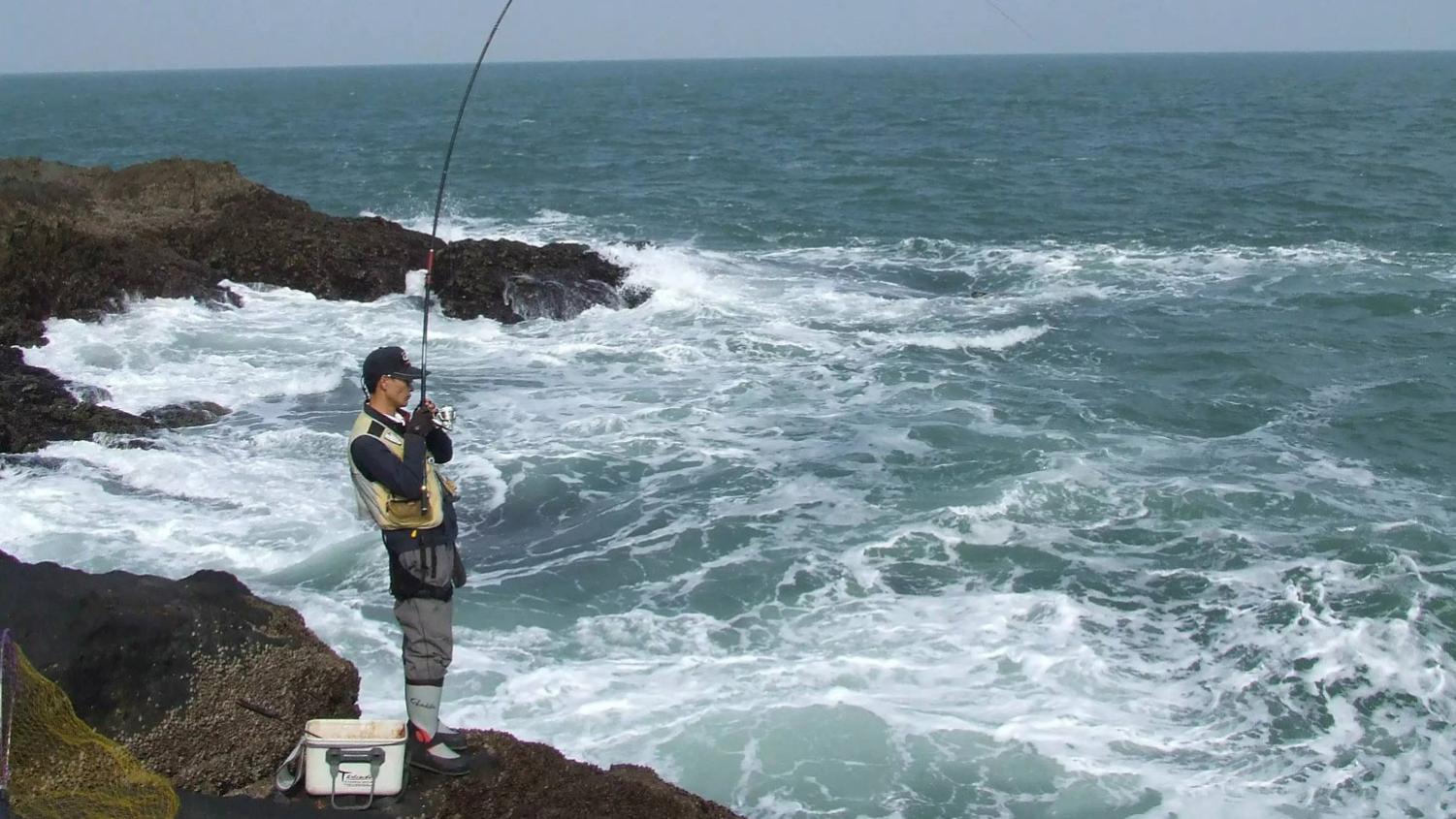 |初春适合钓哪些海鱼？用什么鱼饵？初春海钓的4个要点