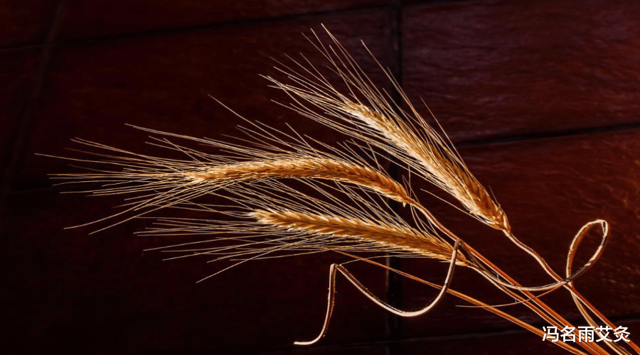 补钙|年龄大的人体内钙质流失,如何合理补回?教你补钙奇穴