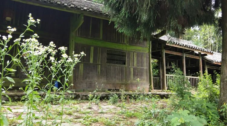 家里出现这些情况,要及时处理!