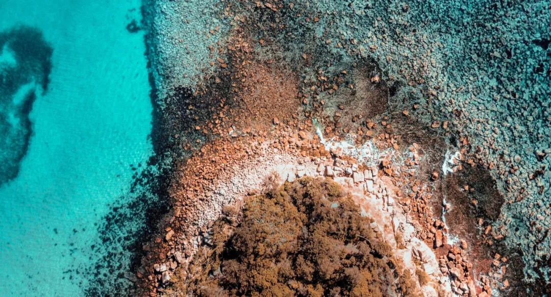 |恭喜3大生肖，年底前，事业运势飙升，苦尽甘来，职场顺心如意