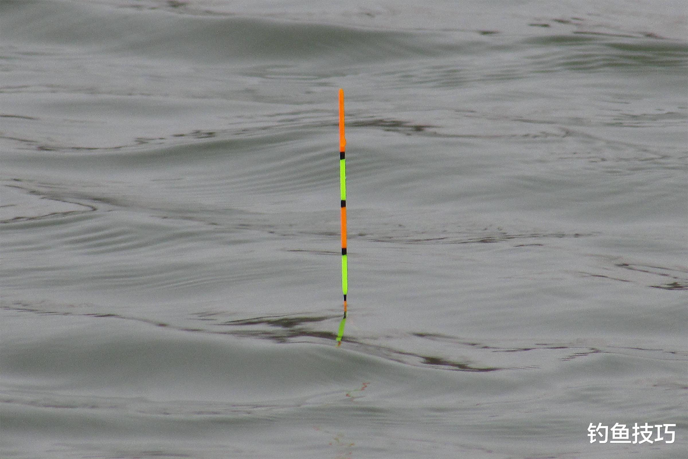|为什么鱼漂调得越灵敏越钓不到鱼?钓鱼调漂的4个原则