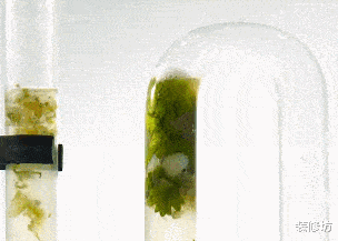 为何说日本家居“人性化”,看完这些小物件的设计,我懂了!