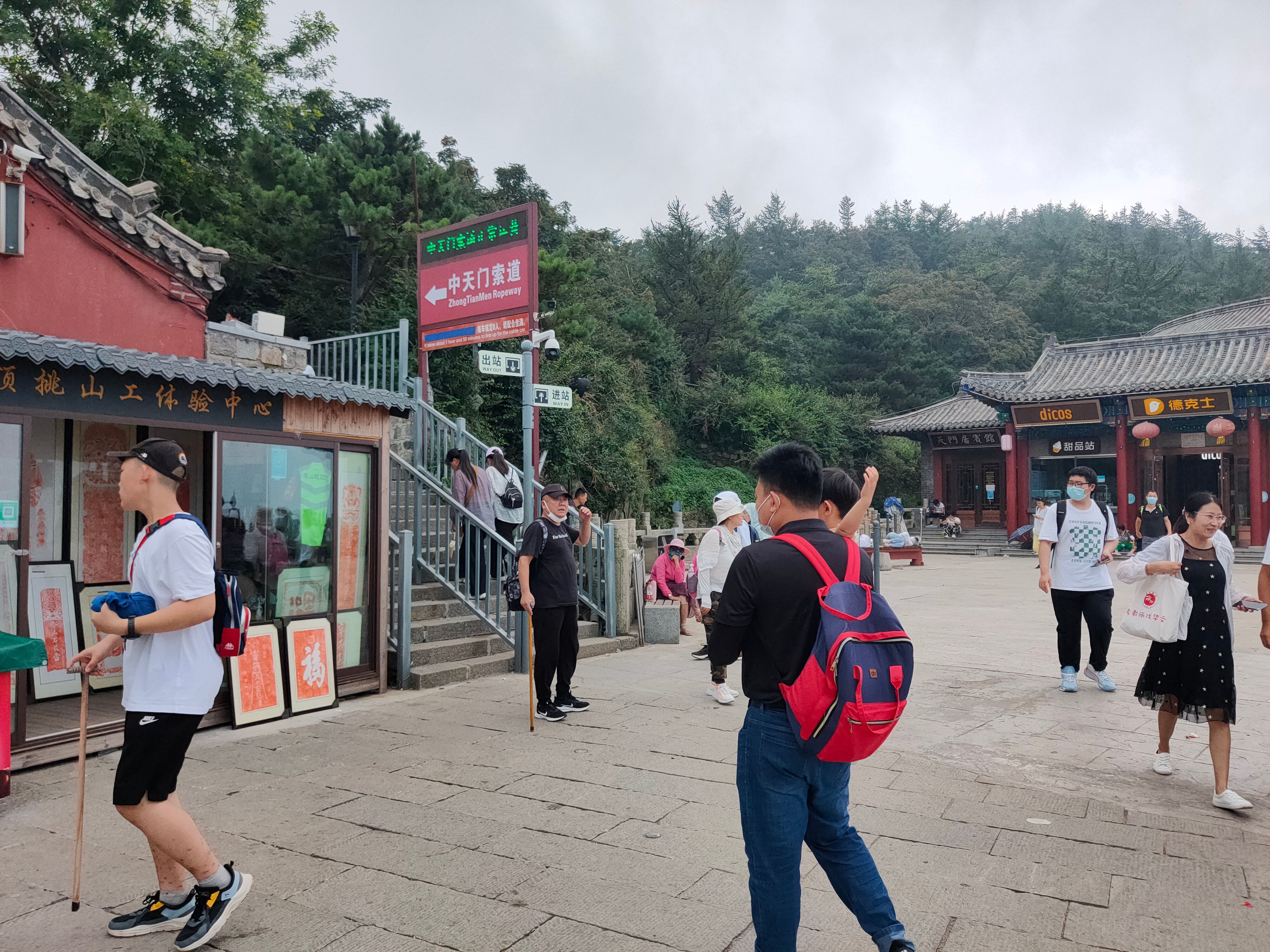 森林公园|8.1-8.9赣湘鲁万字百图非严肃旅行攻略——随便走走、看看、吃吃