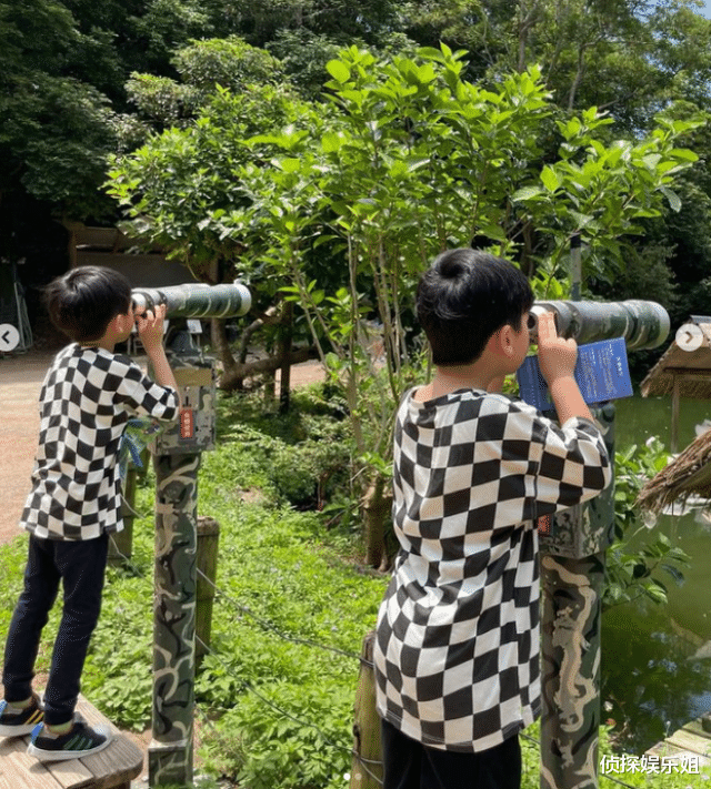 林志颖|林志颖老婆分享生活日常,Kimi陪两个弟弟玩耍,三兄弟同框超有爱