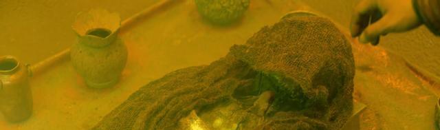 黄金蜘蛛城|上线就是第一，假如《黄金蜘蛛城》登陆院线，该有多少电影脸红？