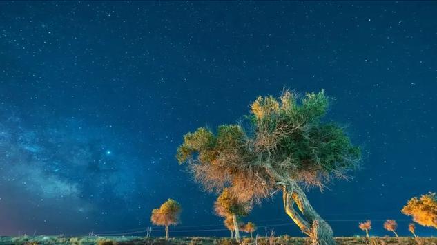 短短半个世纪,800多颗恒星离奇消失,外星文明在建造戴森球?