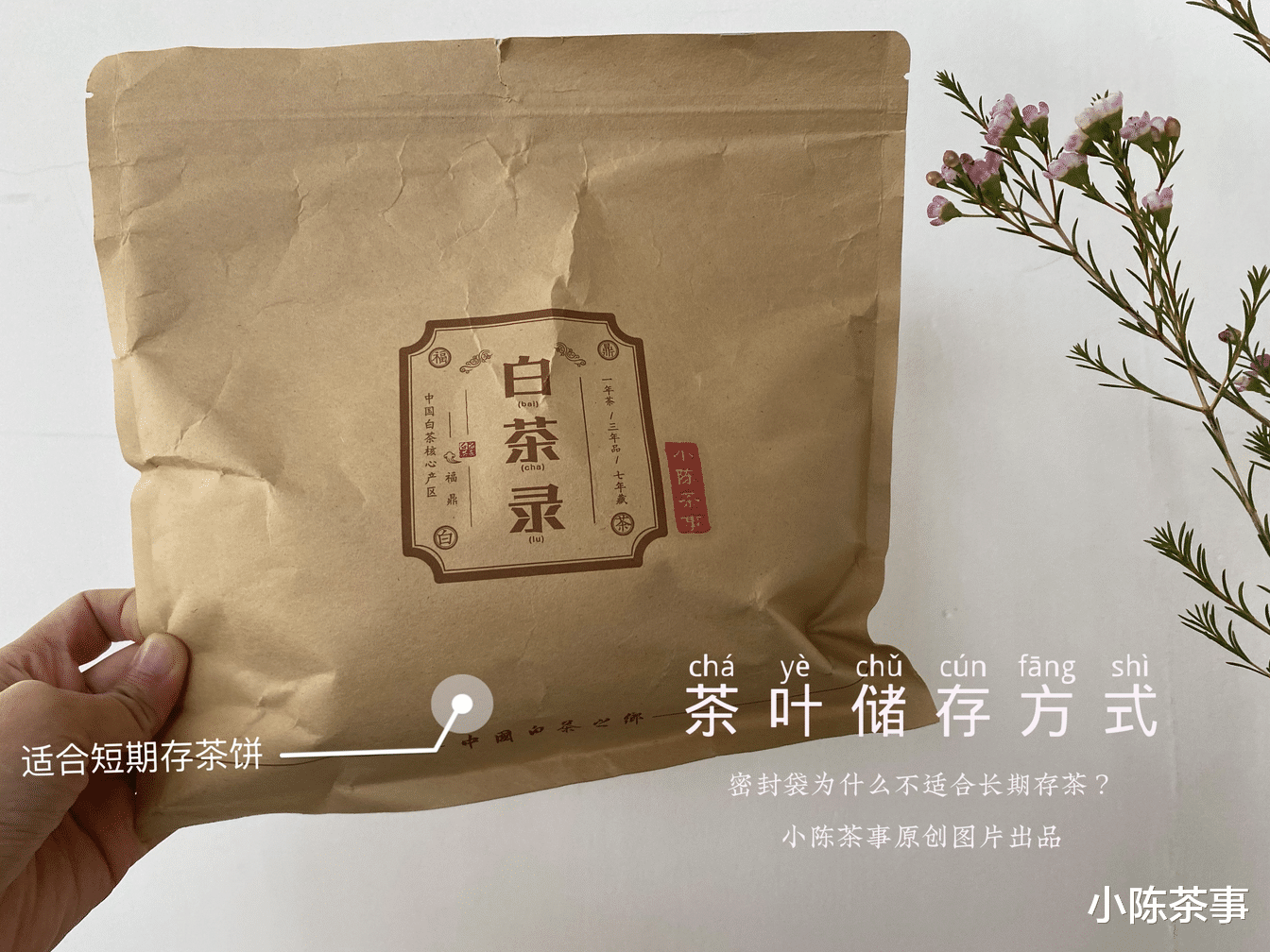 茶叶|教你3种存白毫银针的方法,花zui少的钱,未来喝zui贵的老白茶
