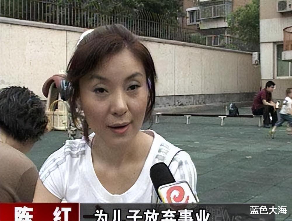 陈红|出轨整容医生，转移丈夫12亿财产，“常回家看看”的陈红是真狠