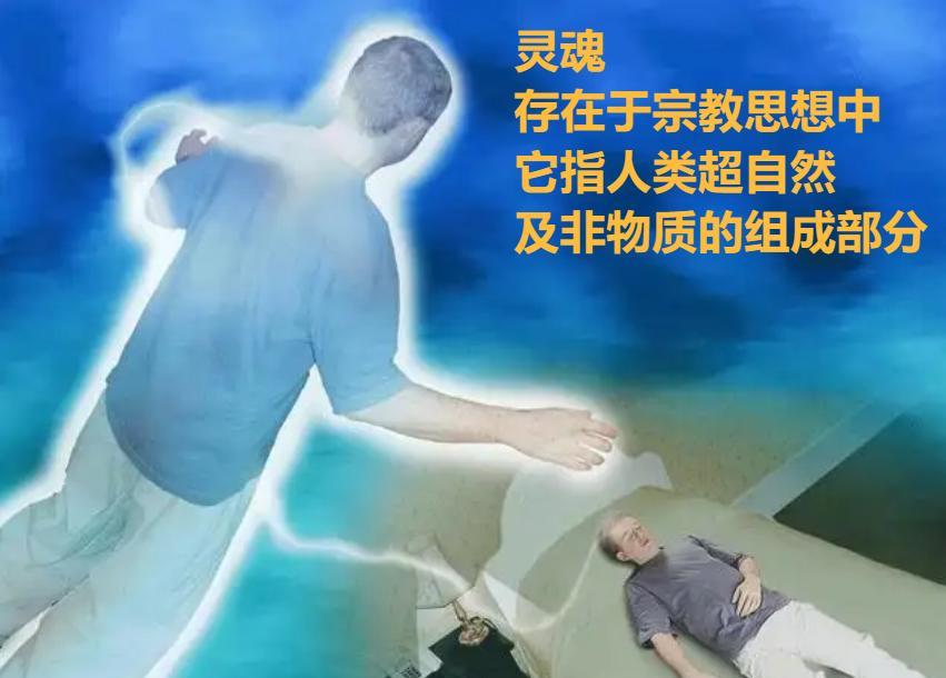 人死后会去哪里?死后仍会有意识,大脑会继续运行?