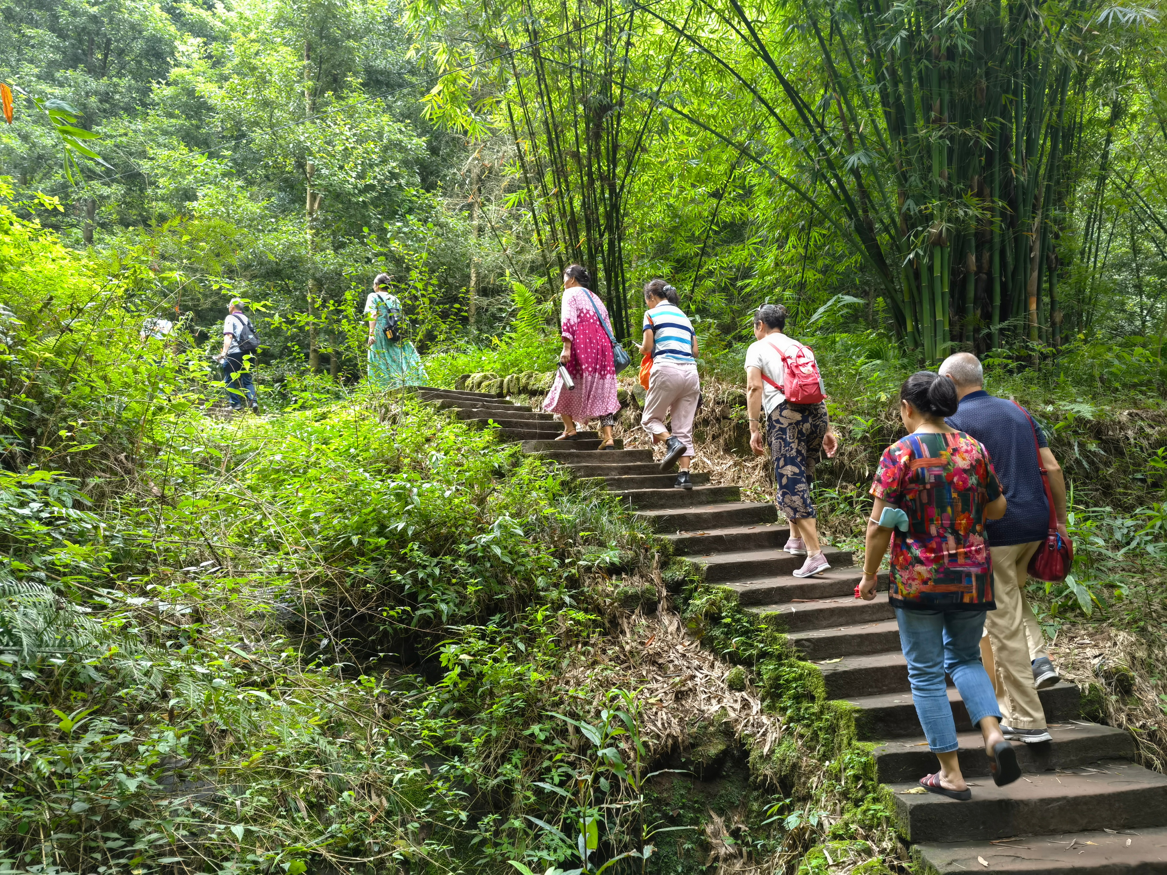 |成都周边户外登山体验，周末旅游好去处，这三条线路不远还没门票