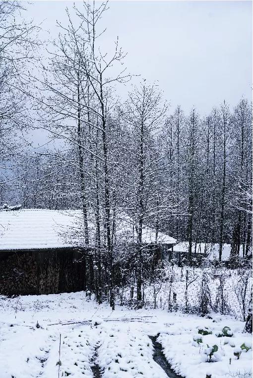 美食|成都过年指南丨耍雪+美食攻略，最快1.5h刹拢！