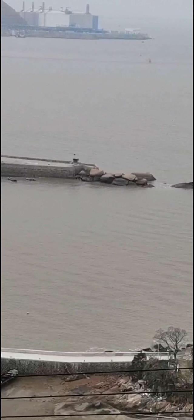 |老家东海群岛出击,提着这串鱼我就是村里最靓的崽