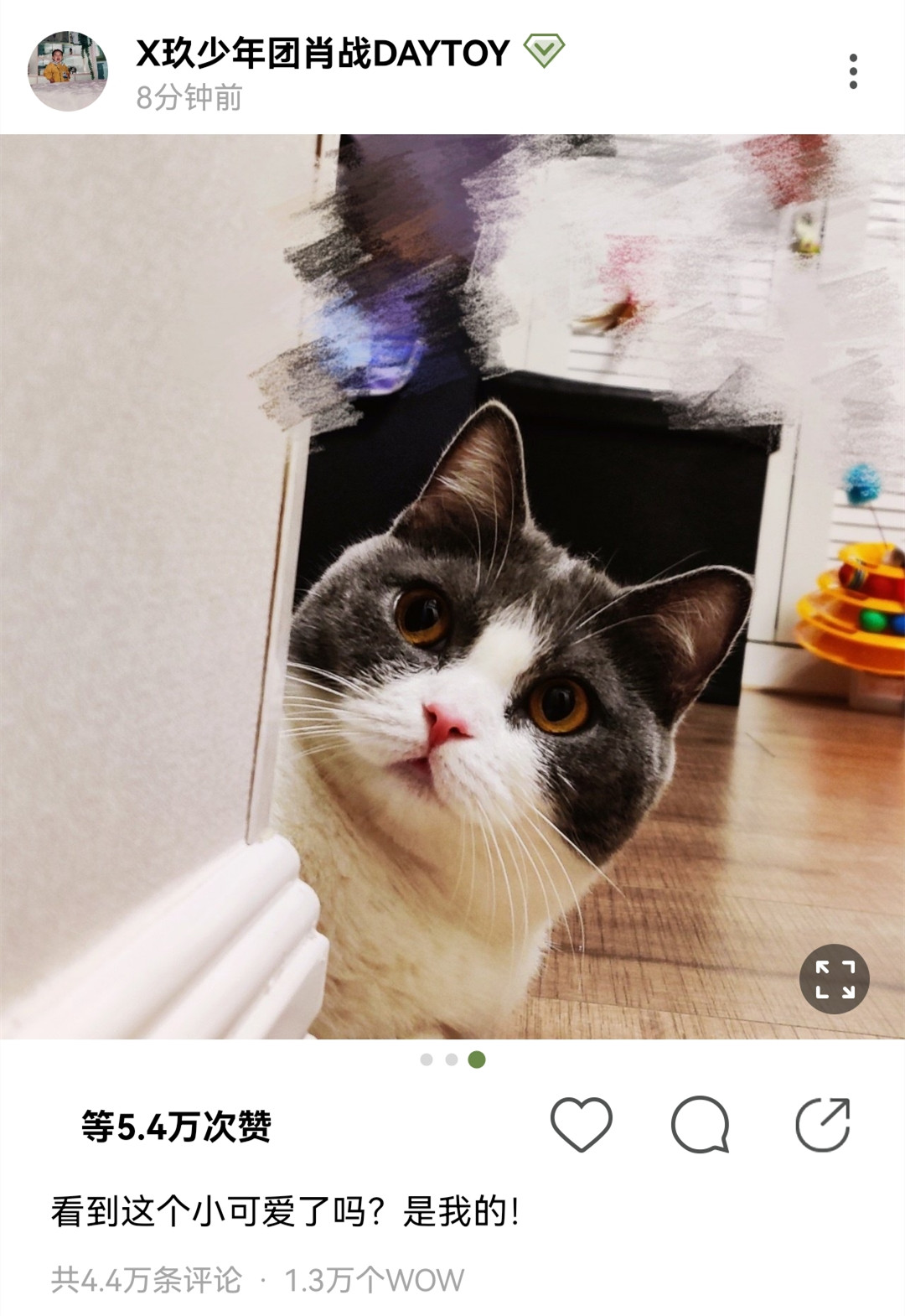 肖战|《玉骨遥》开机一周年，肖战晒“女儿”坚果照，饭圈小公举是真的