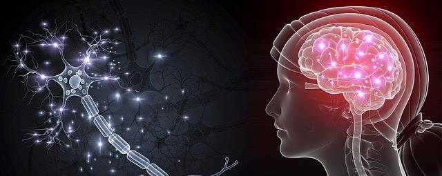 科学家发现记忆和灵魂的秘密,以前的研究全是错的?