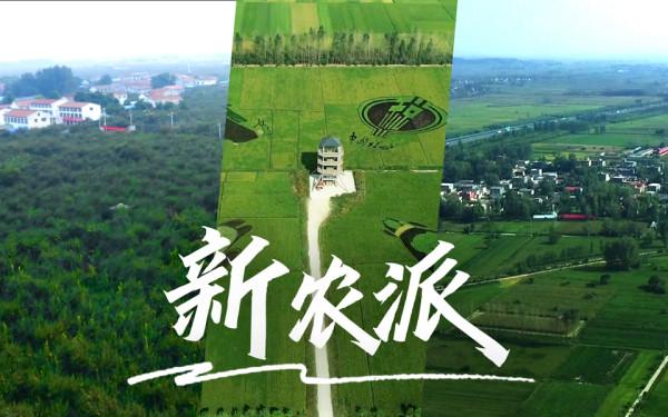 南通|2022宝藏中国3.0——带你沉浸式体验宝藏河南丰收奇趣游