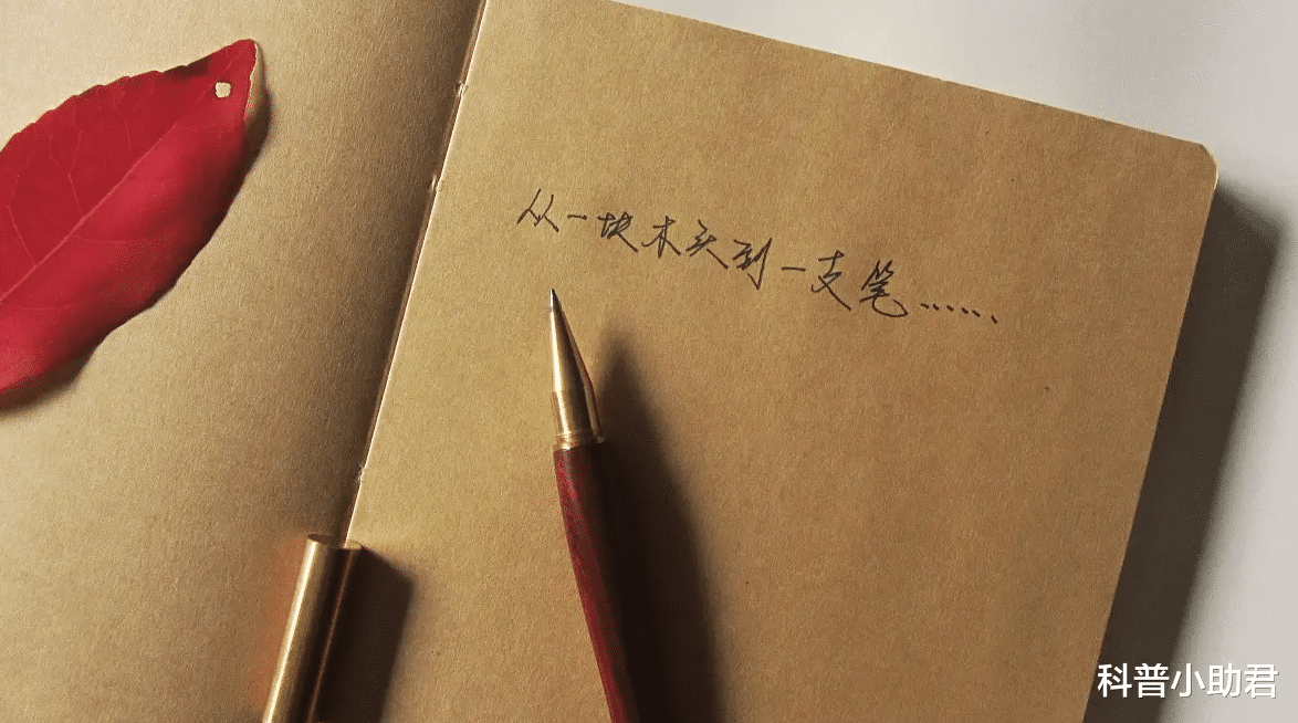 前生今世是否真的存在?觉醒前世的记忆,到底是怎么一回事?
