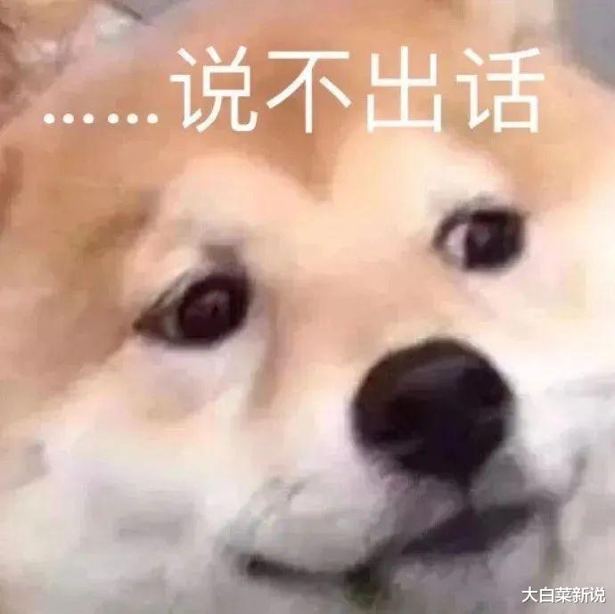 王家卫|数不清,他“逼疯”了多少大明星