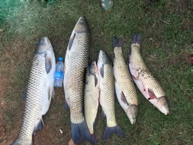 空军|夏钓常“空军”，还在只怪天气热？搞清楚这些重点，鱼获轻松拿捏