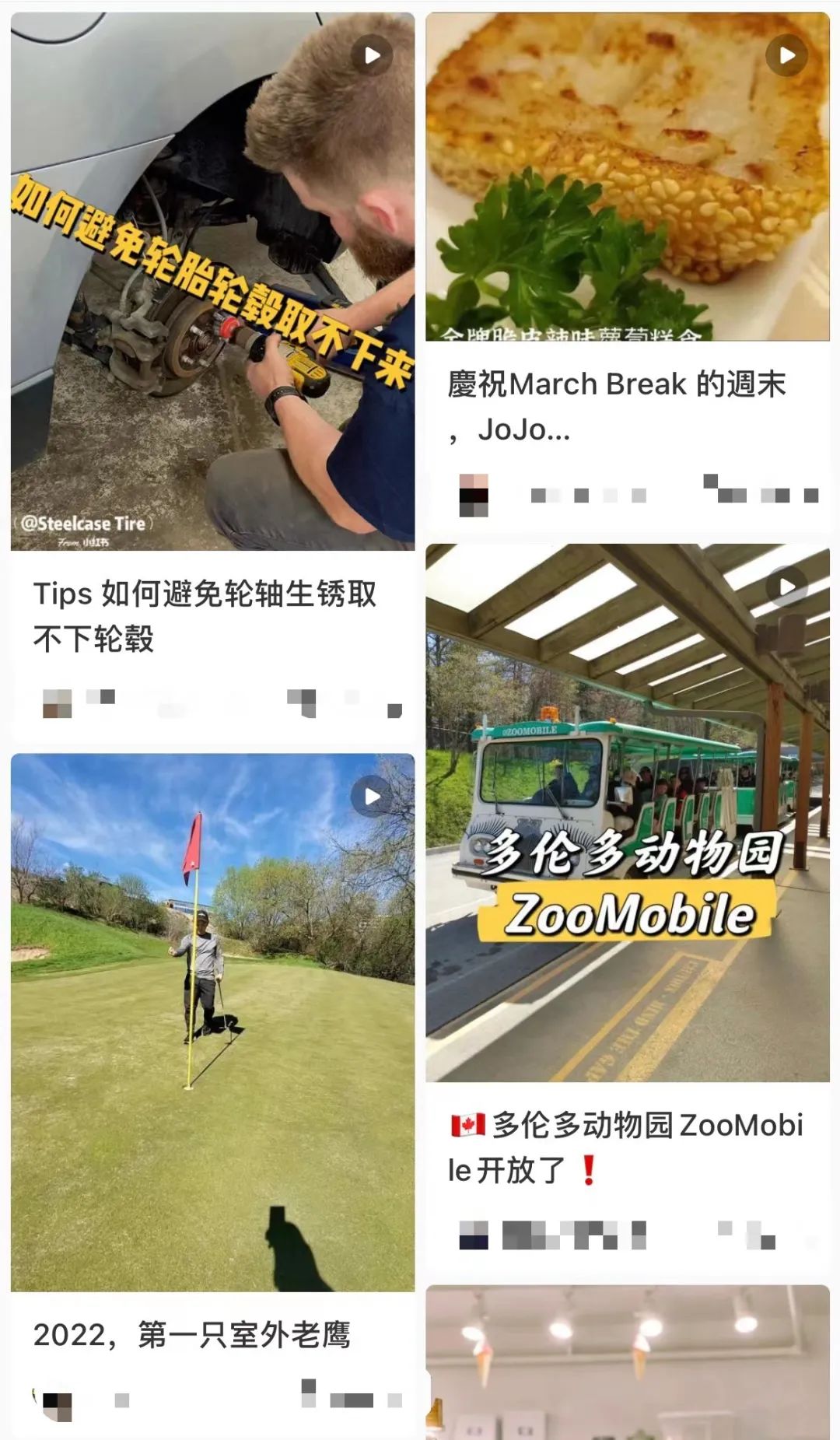中国女留学生\被迫营业\:遭中介\明抢\照片当代言!聊天记录曝光气炸!
