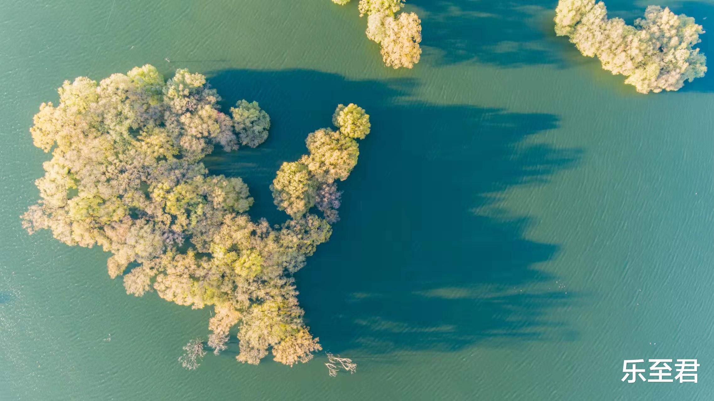 招聘|什么事让你感受到了人际关系的复杂或微妙？