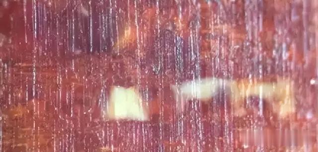 小叶紫檀|2023年小叶紫檀最全攻略