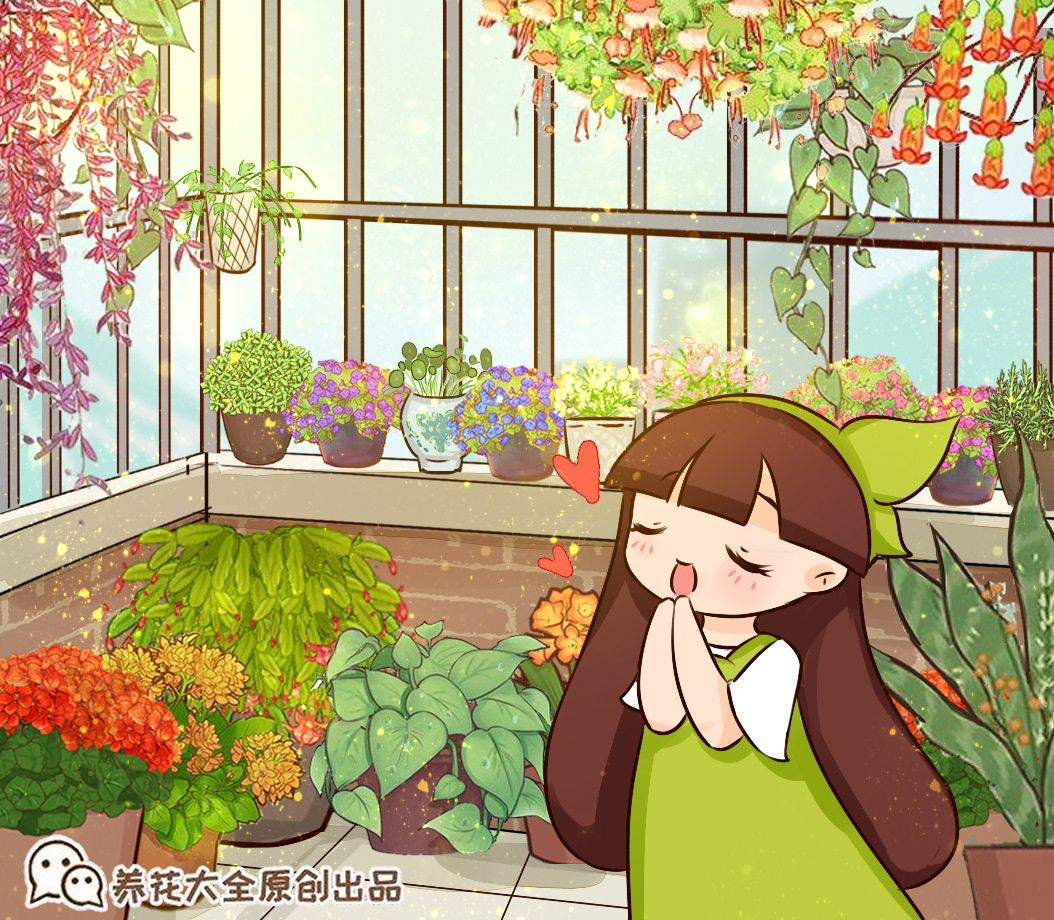 想在家里打造一个小花园,这6个方法要收藏,家里也变小花园